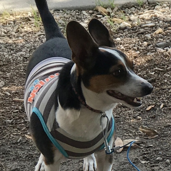 Hi all Poshers - Picture 3 of 3